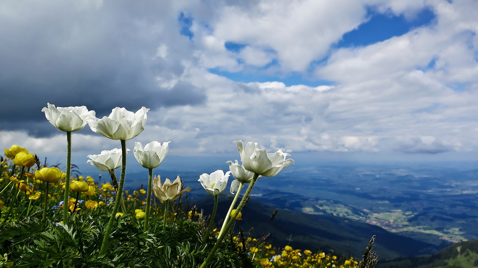 Bergfrühling Gantrisch