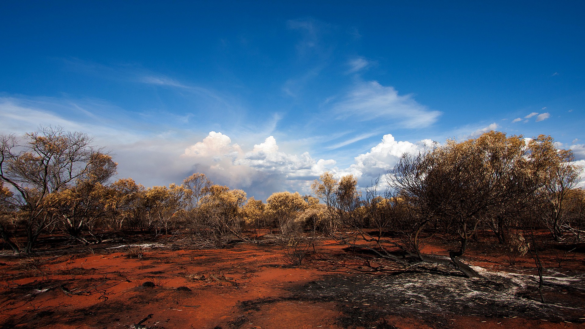 Bushfire Australien