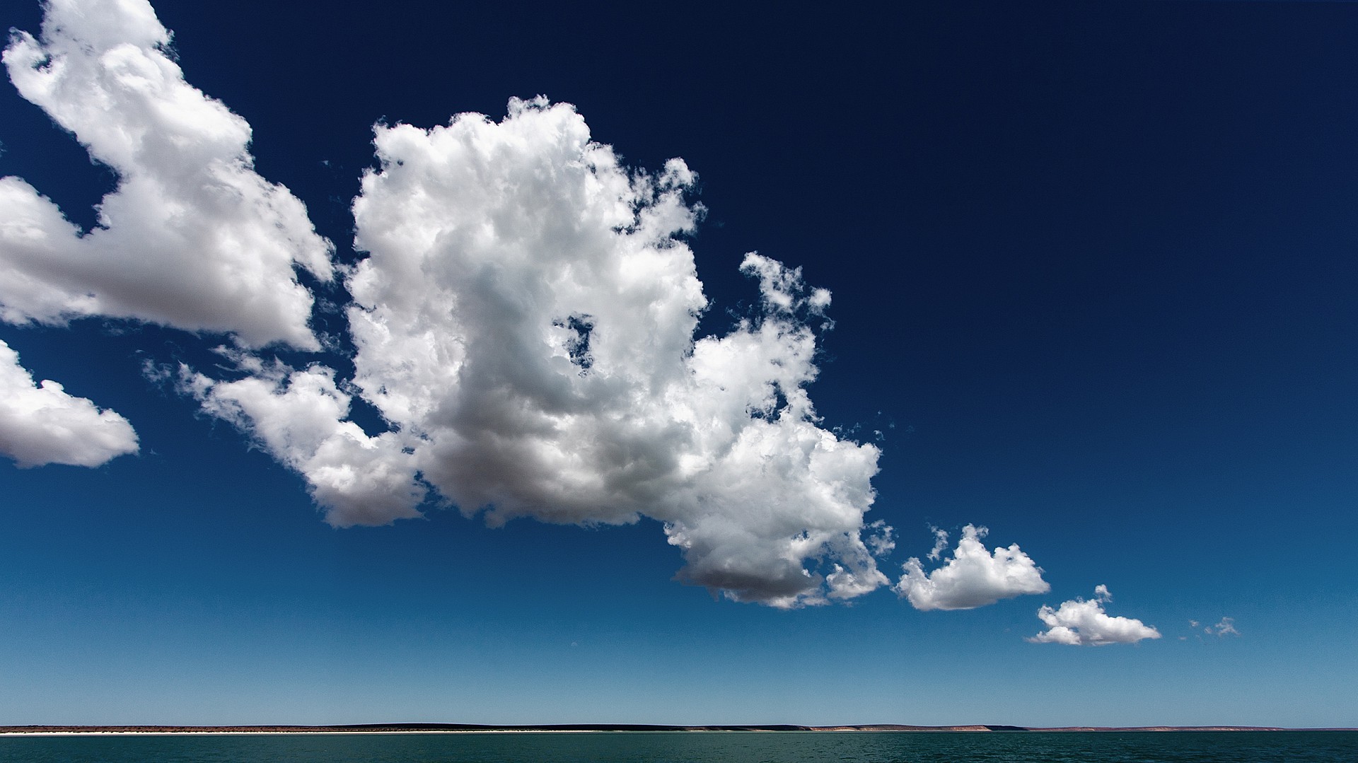 Sharkbay Australien